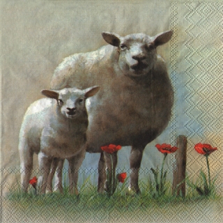 UBROUSEK 33 x 33 cm - OVEČKY