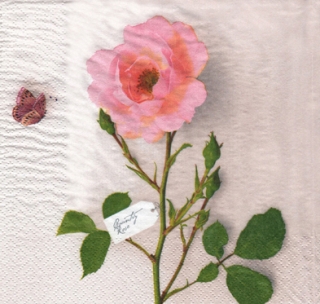 UBROUSEK 33 x 33 cm - RŮŽE