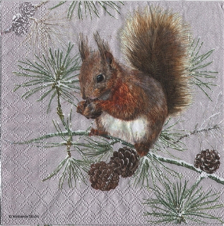 UBROUSEK 33 x 33 cm - VEVERKA