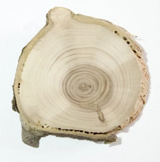 DŘEVĚNÝ PLÁTEK K DOTVOŘENÍ S ÚCHYTEM NA ZAVĚŠENÍ