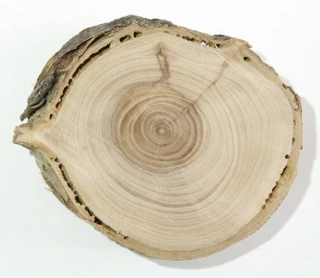 DŘEVĚNÝ PLÁTEK K DOTVOŘENÍ S ÚCHYTEM NA ZAVĚŠENÍ